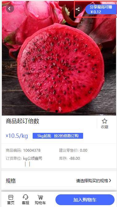 推广员-招募页设置 推广员-招募页设置